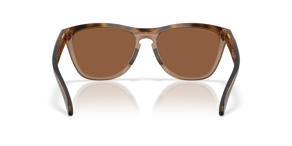 Oakley OO9503 Frogskins™ Range XL