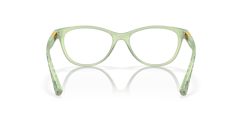 Oakley OX8146 Plungeline™